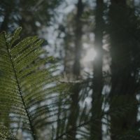 금호아테라_ (1)